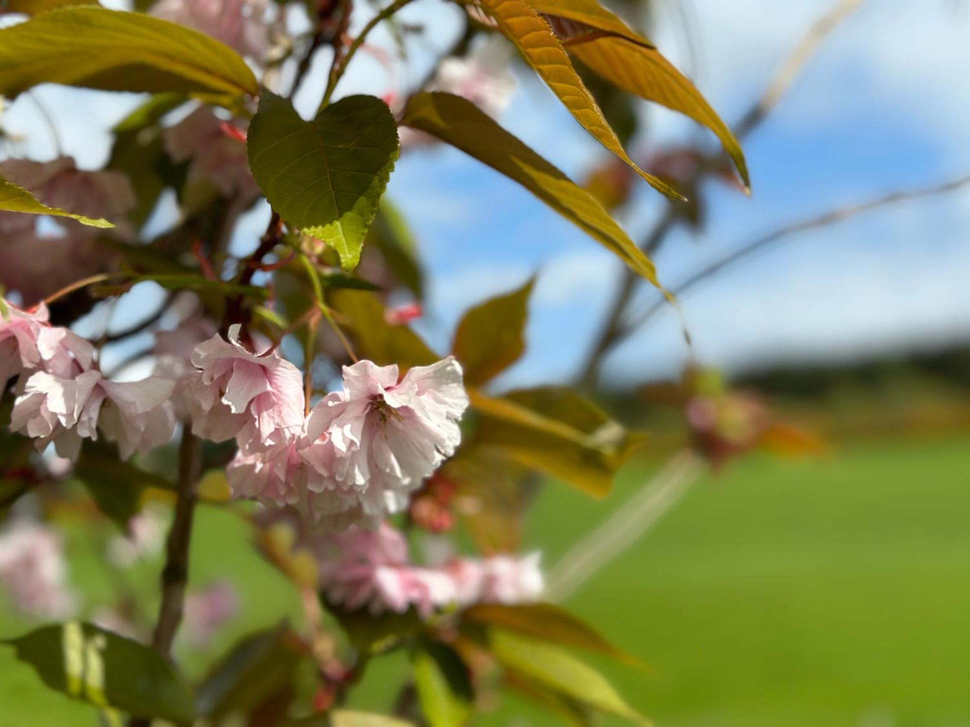Awakening Alchemy Retreat Centre Bed & Breakfast Inverurie ภายนอก รูปภาพ