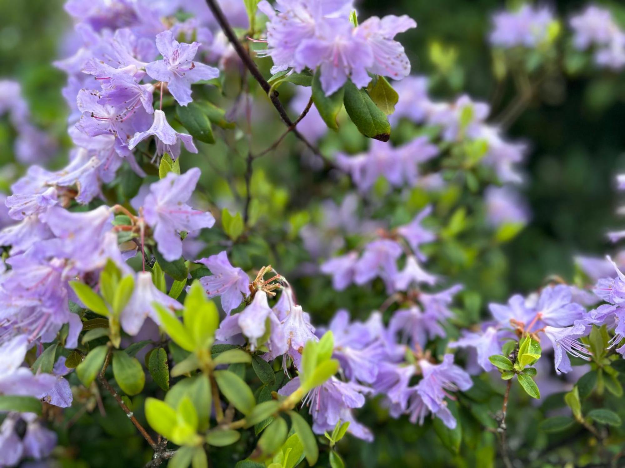 Awakening Alchemy Retreat Centre Bed & Breakfast Inverurie ภายนอก รูปภาพ