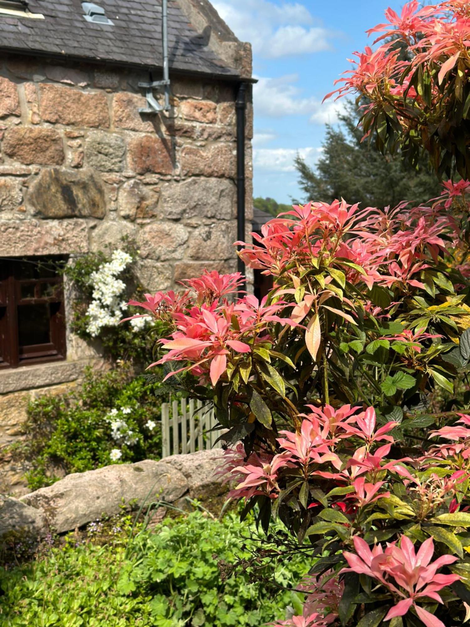 Awakening Alchemy Retreat Centre Bed & Breakfast Inverurie ภายนอก รูปภาพ
