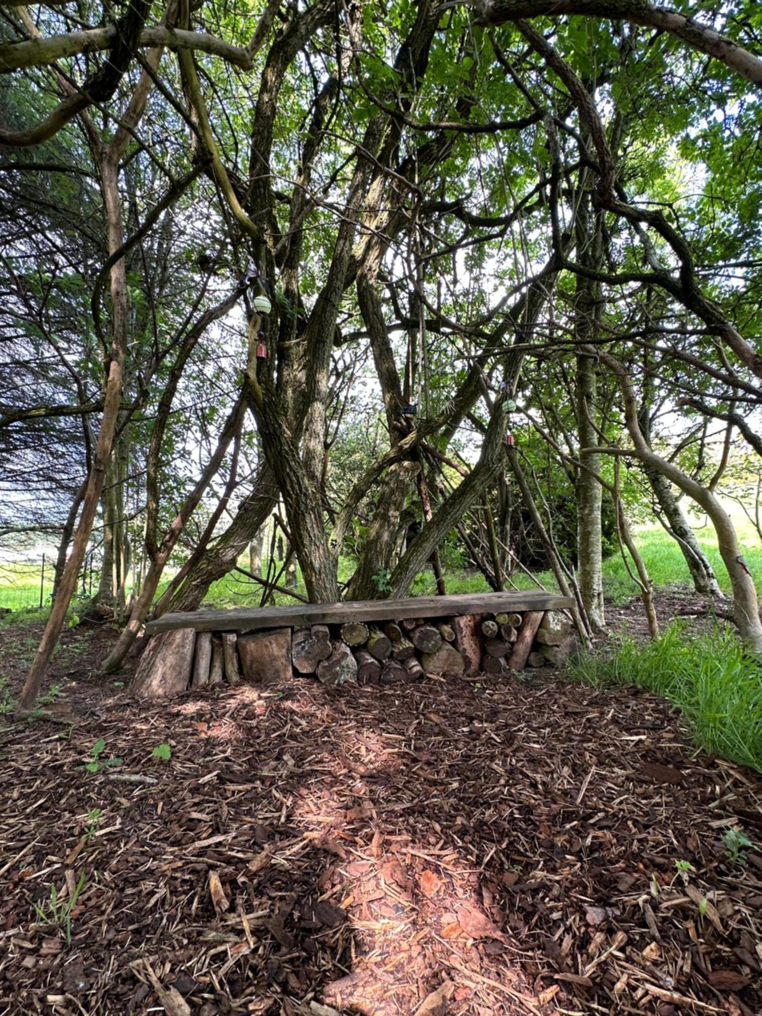 Awakening Alchemy Retreat Centre Bed & Breakfast Inverurie ภายนอก รูปภาพ
