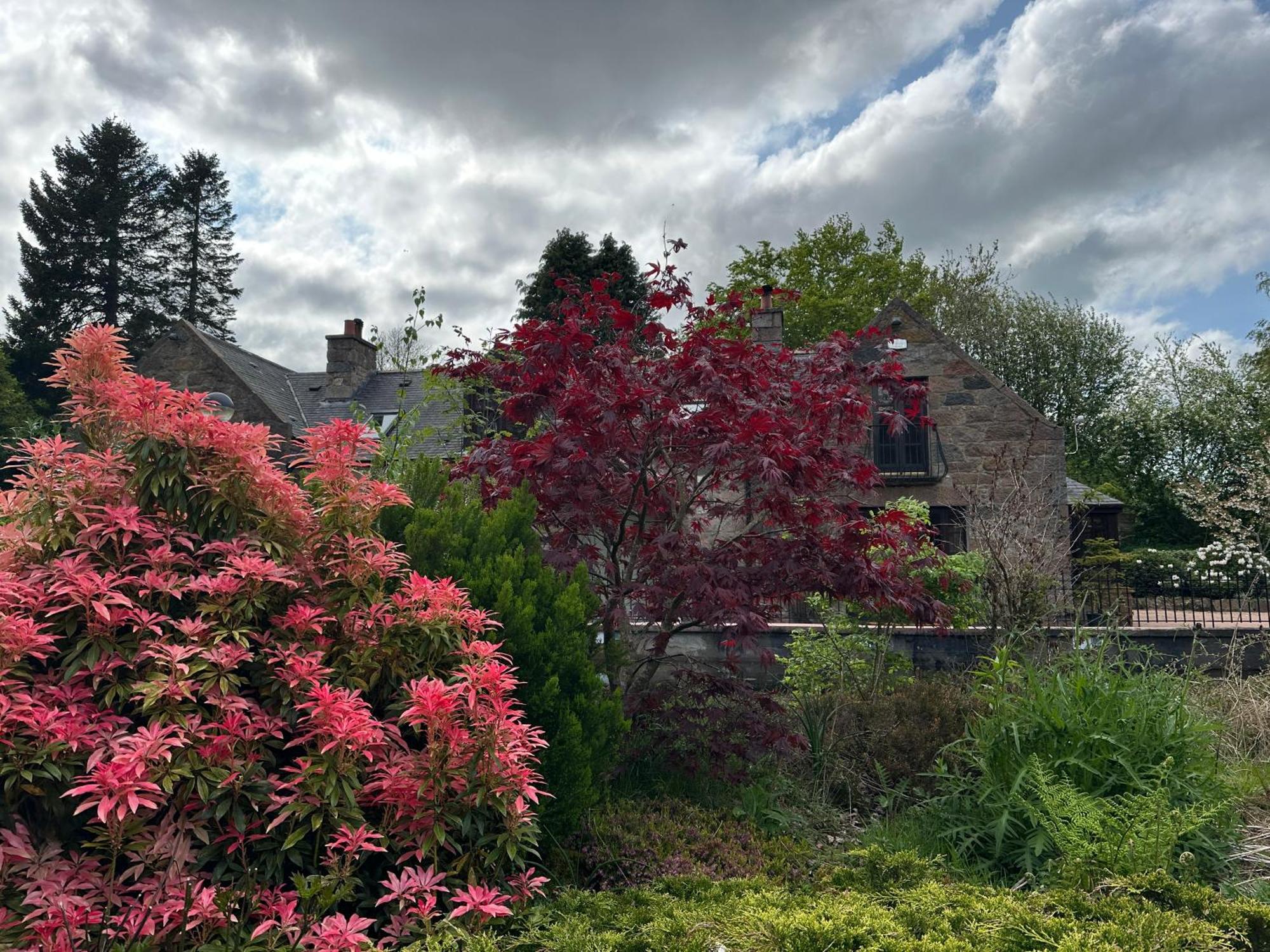 Awakening Alchemy Retreat Centre Bed & Breakfast Inverurie ภายนอก รูปภาพ